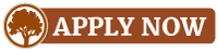 Apply now button